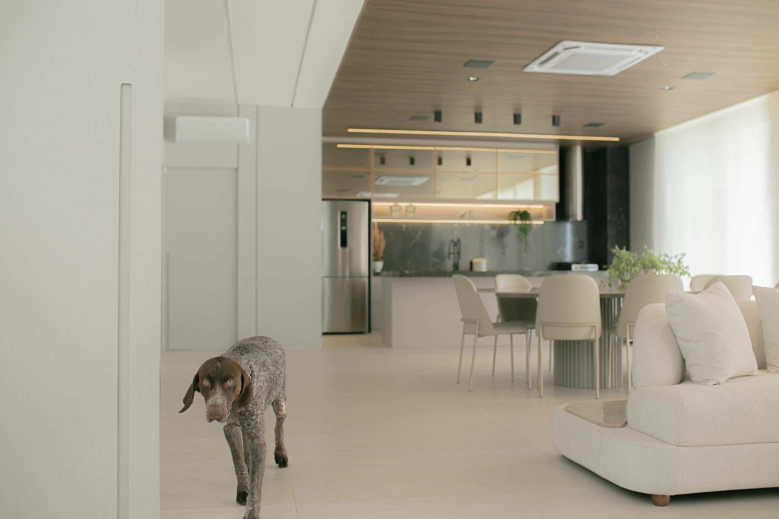 O clássico e o contemporâneo juntos no projeto residencial assinado pela Bentec Petrolina